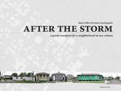 After the Storm After the Storm