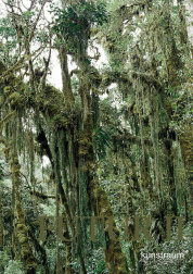 Thomas Feuerstein FUTUR II