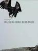 radical-bird-research